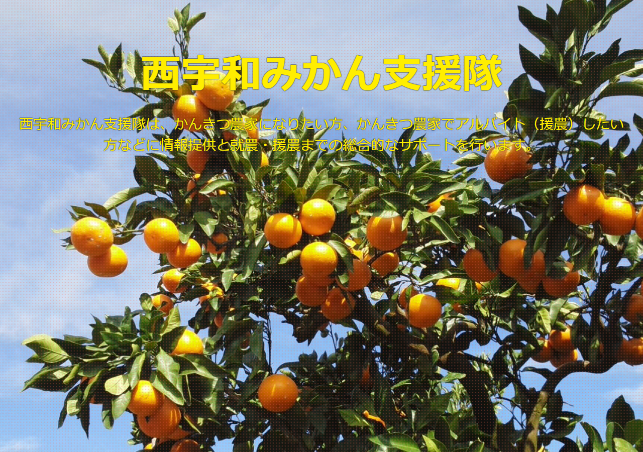 n-mikan-shientai.jp のWBM保存スクリーンショット